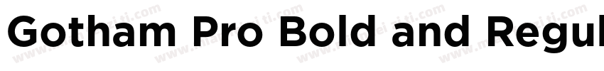 Gotham Pro Bold and Regular字体转换